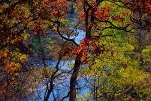 River Below